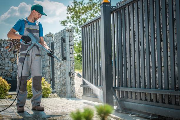 Best Soft Washing  in Holly Lake Ranch, TX