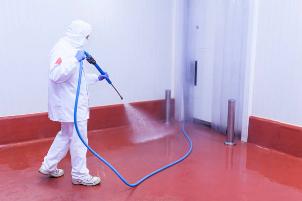 Best Paint Preparation  in Holly Lake Ranch, TX