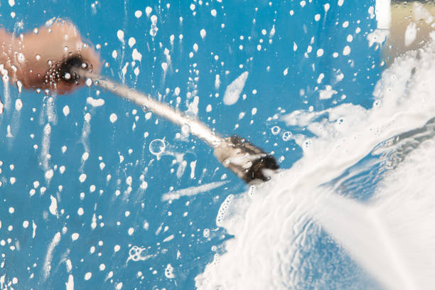 Best Animal Enclosure Cleaning  in Holly Lake Ranch, TX
