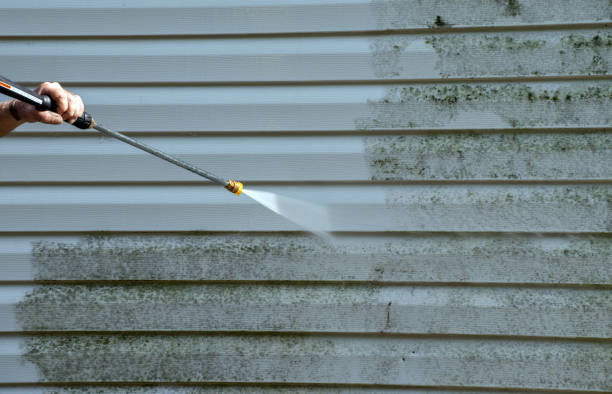 Best Patio and Deck Pressure Washing  in Holly Lake Ranch, TX